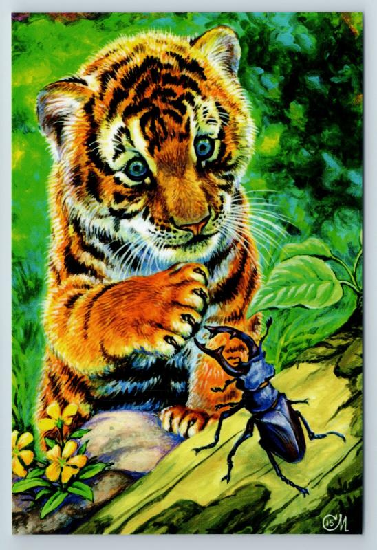 LITTLE TIGER and beetle Bug Acquaintance FUNNY Russia Modern Postcard