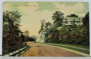 Cleveland Ohio Scene on Boulevard Postcard F19