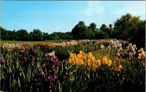 Postcard GARDEN SCENE Montclair New Jersey NJ AO9012