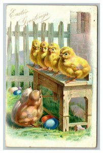 Vintage 1907 Tuck's Easter Postcard Cute Chicks Country Bench Colored Eggs