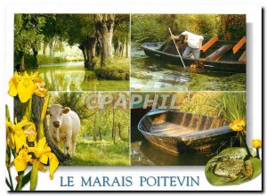 Modern Postcard The Marais Poitevin (Deux Sevres) on 35,000 ha of floodplain