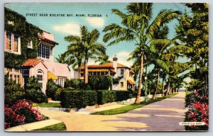 Miami Florida~Palm Lined Street Near Biscayne Bay~PM 1941~Vintage Linen Postcard