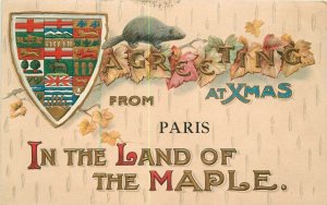 Postcard C-1910 Canada Maple Christmas Saying artist impression 22-12337