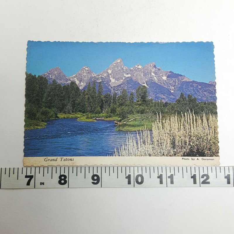 Grand Teton National Park Wyoming Vintage Postcard 