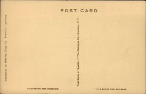 PRESCOTT ARIZONA AZ O'Neil Monument HORSE COWBOY Vintage Postcard