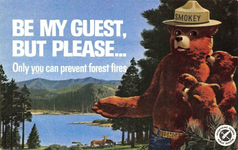 SMOKEY THE BEAR Only You Can Prevent Forest Fires c1960s Vintage Postcard