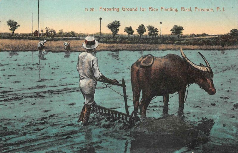 PREPARING GROUND FOR RICE PLANTING RIZAL PHILIPPINES ISLANDS POSTCARD (c. 1910)