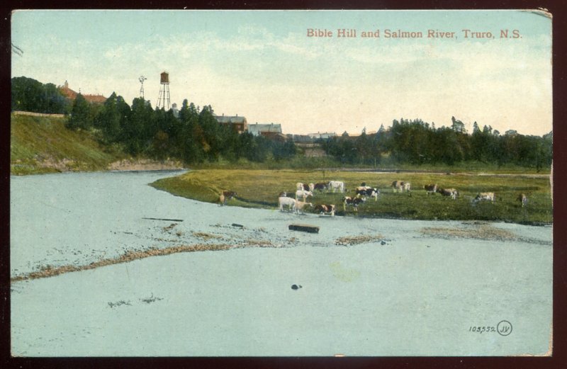 h2348 - TRURO NS Postcard 1900s Bible Hill & Salmon River