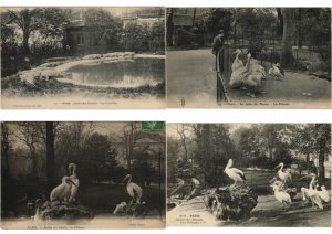 ZOO JARDIN DE PLANTES 200 Vintage ANIMAL Postcards pre-1930 (L4066)