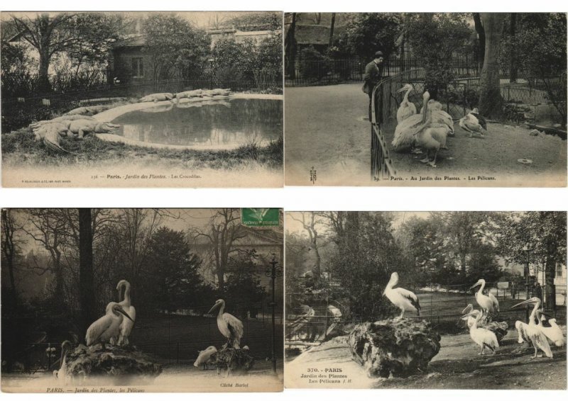 ZOO JARDIN DE PLANTES 200 Vintage ANIMAL Postcards pre-1930 (L4066)