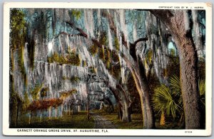 Vtg St Augustine Florida FL Garnett Orange Grove Drive Spanish Moss Postcard