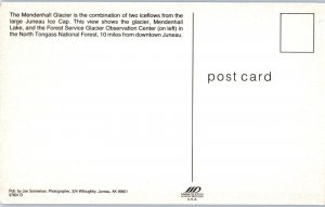 Mendenhall Glacier and Lake Alaska Postcard