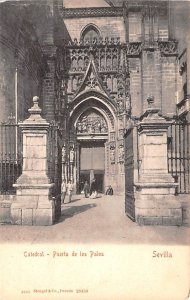 Catedral, Puerta de los Palos Spain Post Card