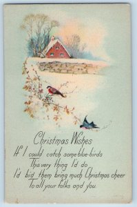 Christmas Postcard Birds House Covered Snow Winter c1910's Antique