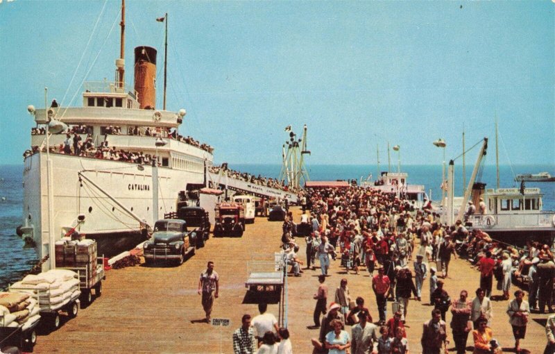 Steamer Ship Trucks Fishing Trawler Dock Avalon Ca. Postcard 2R3-198 