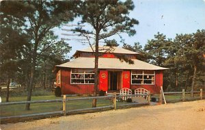 The Oriental Gift Shoppe Dennisport, Massachusetts MA Postcard