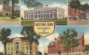 Postcard Greetings From University of Vermont VT