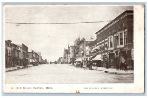 Cadillac Michigan MI Postcard Mitchell Street Buildings Road Horse Carriage 1908