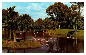 Postcard GARDEN SCENE Naples Florida FL AT3841