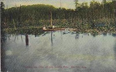 Alabama Marion Fishing on One of The Lakes