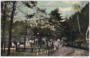 Scene In Ross Park, BINGHAMTON, New York, PU-1913
