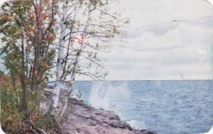 Greetings from Trenton, Ontario, Canada - Mountain Ash and Birch Trees - pm 1956