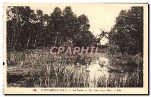 Old Postcard Fontainebleau La Foret La Mare Aux Fees