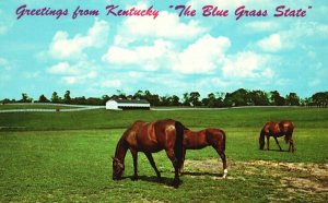 Vintage Postcard Famous Blue Grass State Greetings From Lexington Kentucky KY