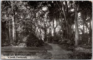 Groet Uit Buitenzoro Lands Plantentuin Indonesia Trail Hiking Forest Postcard