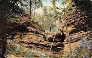 IL, Illinois  WILD CAT CANYON~Starved Rock   LA SALLE COUNTY  c1910's Postcard