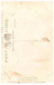 New York New Rochelle The Oaks