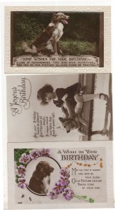 Dog Dogs 3x Old Real Photo Birthday Greetings Postcard s