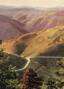 USA Vista of Auto Highway in Denver Mountain Parks Vintage Postcard 07.72 