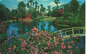 PC6189 CYPRESS GARDENS, FLORIDA