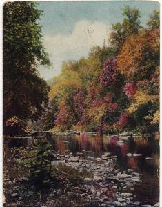 1901 Philadelphia PA By Still Waters Tennyson Wissahickon Creek Fairmount Park