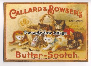 ad3663 - Callard & Bowsers - Butterscotch - Kittens - Modern Advert Postcard