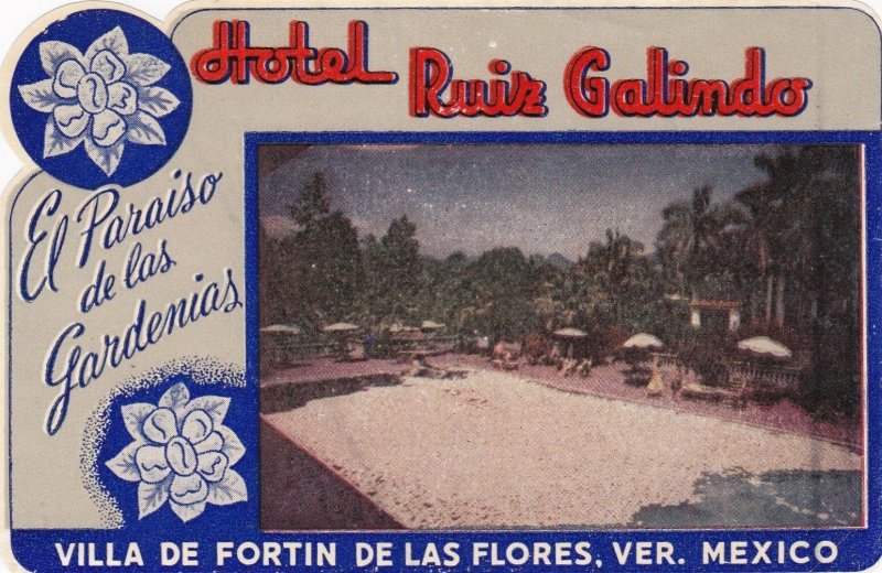 Mexico Veracruz Hotel Ruiz Galindo Brown Vintage Luggage Label sk2509