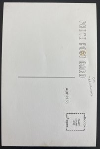 Mint USA Real Picture Postcard Baseball Player Ted Williams Boston Red Sox