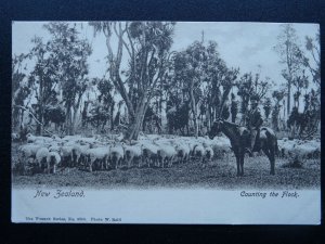 New Zealand SHEEP FARMER Counting the Flock c1903 UB Postcard by The Wrench 3890