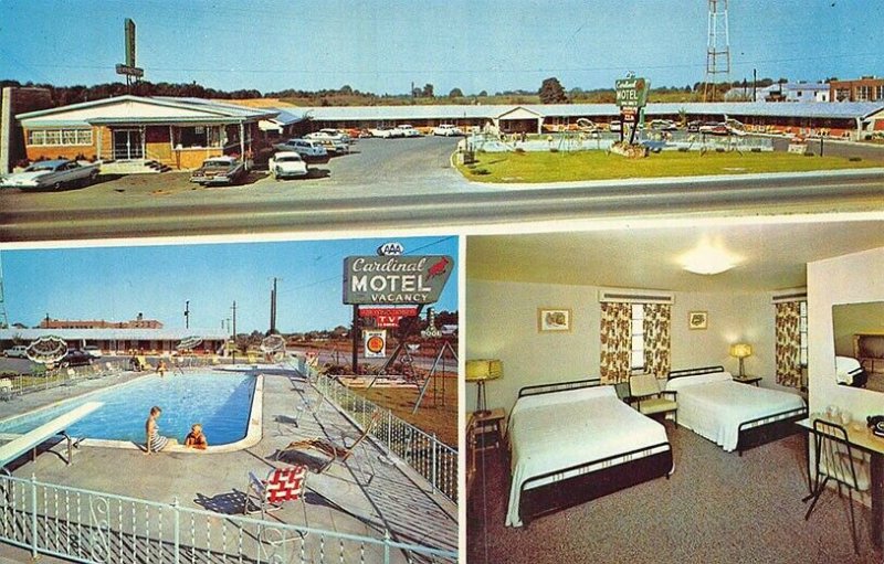 Elizabethtown KY  Cardinal Motel Multi-View on U. S. 31 Postcard