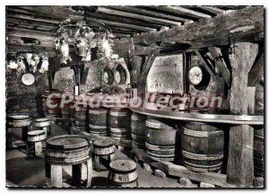 Modern Postcard Vaux En Beaujolais Clochemerle cellar tasting