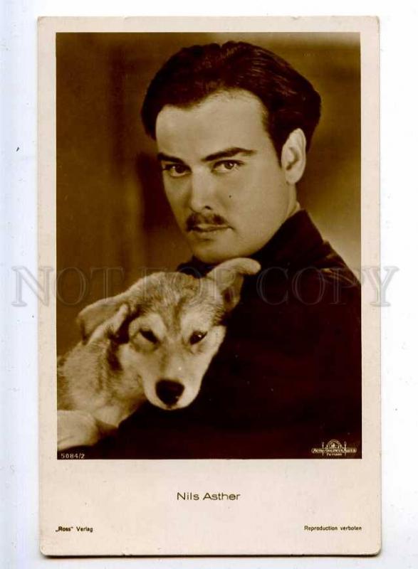 216056 Nils ASTHER Hollywood MOVIE Film Actor DOG old PHOTO