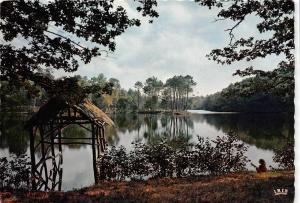 BR13594 Limousin L etang de Ruffaud  france