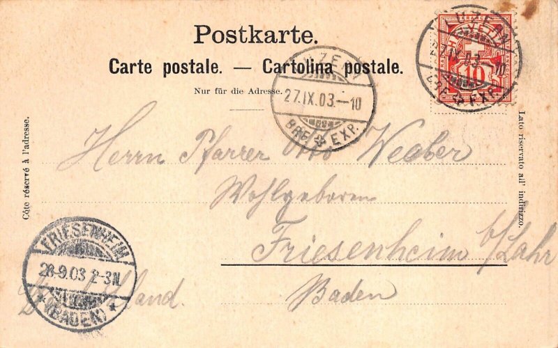 L309 Switzerland Luzern 1903 Panorama vintage postcard