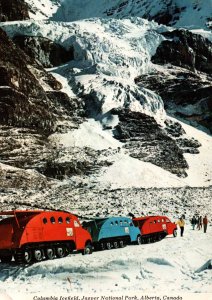 Columbia Icefield,Canadian Rockies,Canada BIN