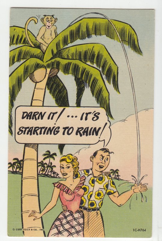 P2207, old comic postcard monkey palm tree darn it, its starting to rain unused