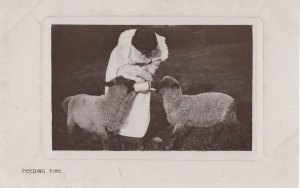 Bottle Feeding Time Lady Farming Sheep Old Real Photo Postcard