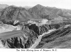 THE GOLD MINING AREA OF SKIPPERS NEW ZEALAND~1960s PHOTO POSTCARD*