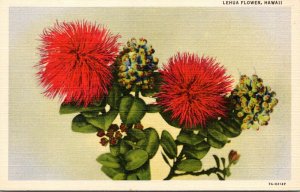 Hawaii Native Lehua Flower Curteich