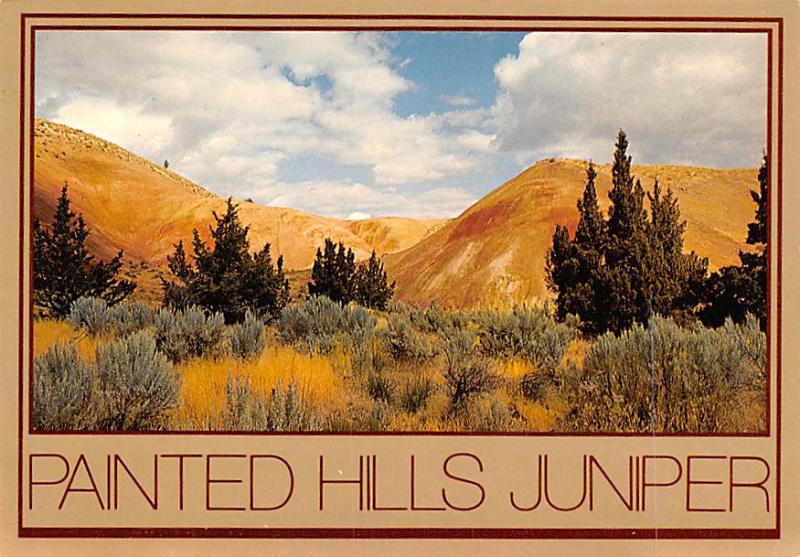 Painted Hills Juniper - Oregon